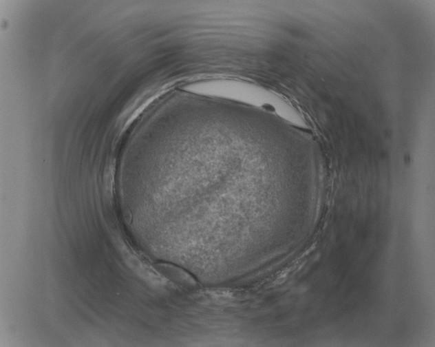 X0000084030194200703022131