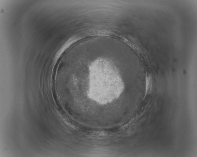 X0000084030195200703022131