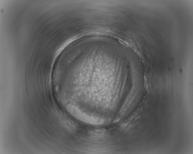 X0000084030196200703022131