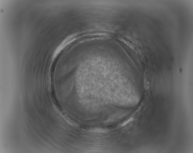 X0000084030198200703022131