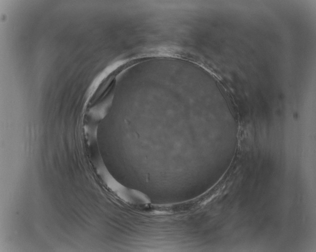 X0000084030200200703022131