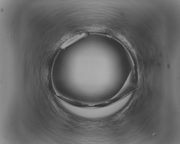 X0000084030201200703022131