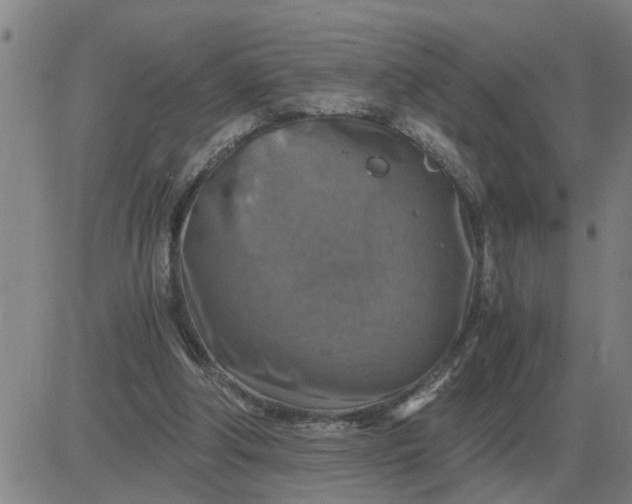 X0000084030202200703022131