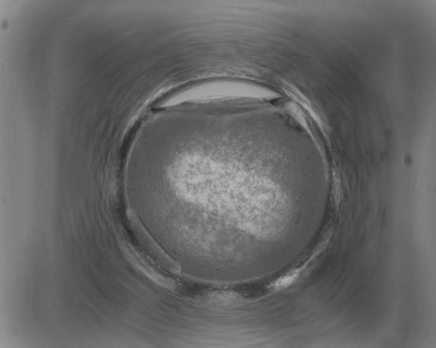 X0000084030203200703022131