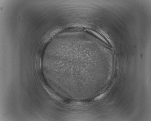 X0000084030205200703022131