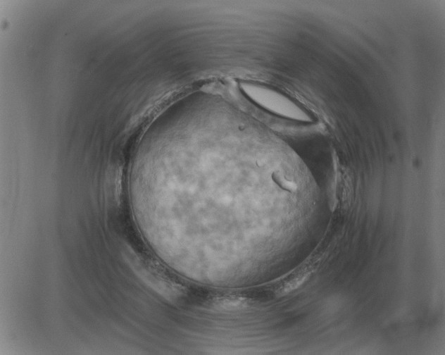 X0000084030206200703022131