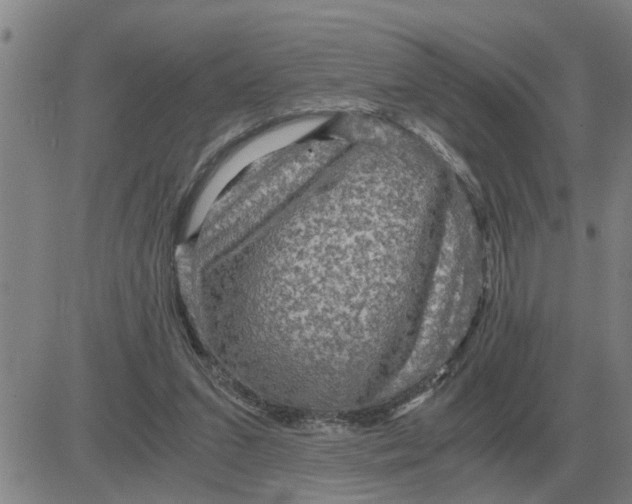 X0000084030207200703022131