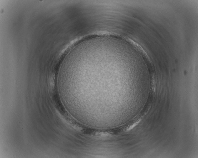 X0000084030208200703022131