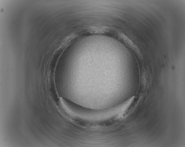 X0000084030209200703022131