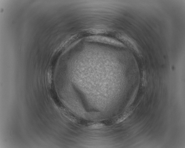 X0000084030210200703022131