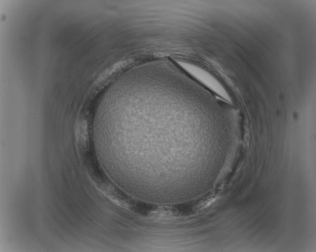 X0000084030211200703022131