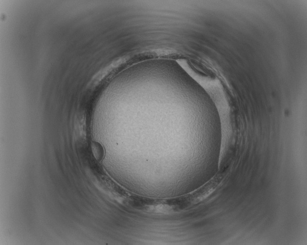 X0000084030212200703022131