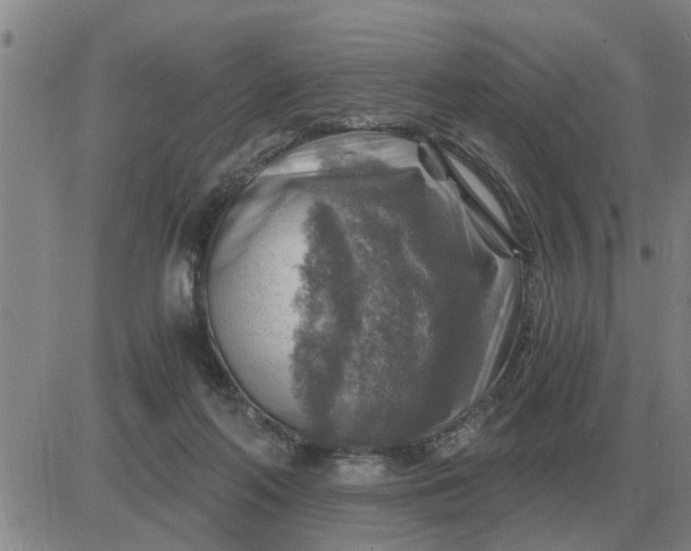 X0000084030214200703022131