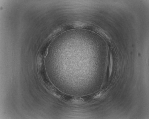 X0000084030215200703022131