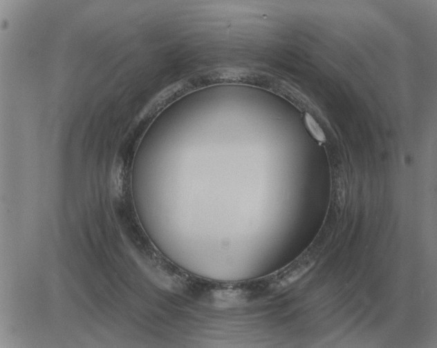 X0000084030216200703022131