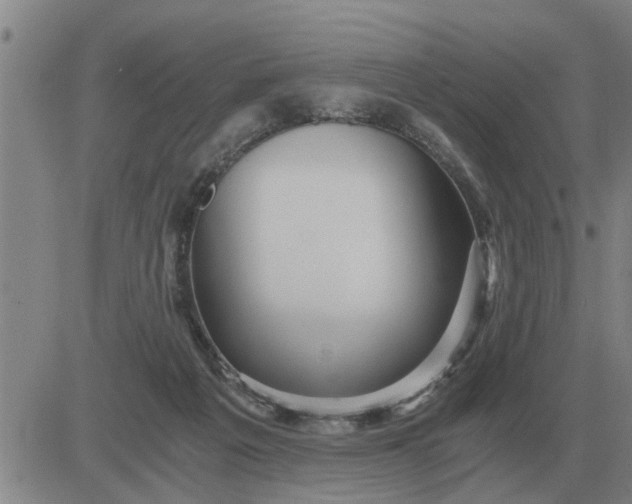 X0000084030217200703022131