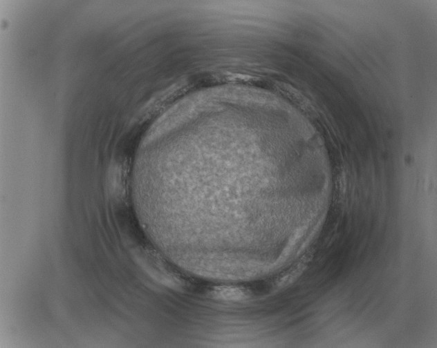 X0000084030218200703022131