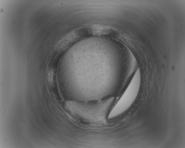 X0000084030219200703022131