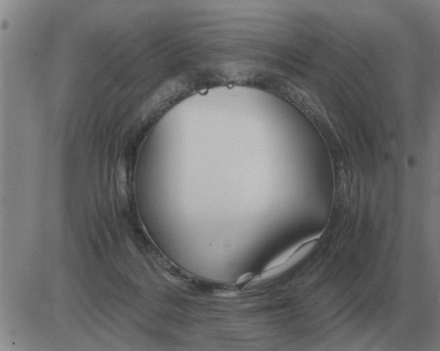 X0000084030220200703022131