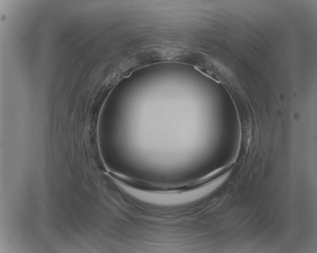 X0000084030221200703022131