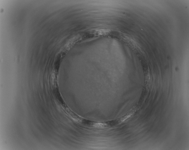 X0000084030222200703022131