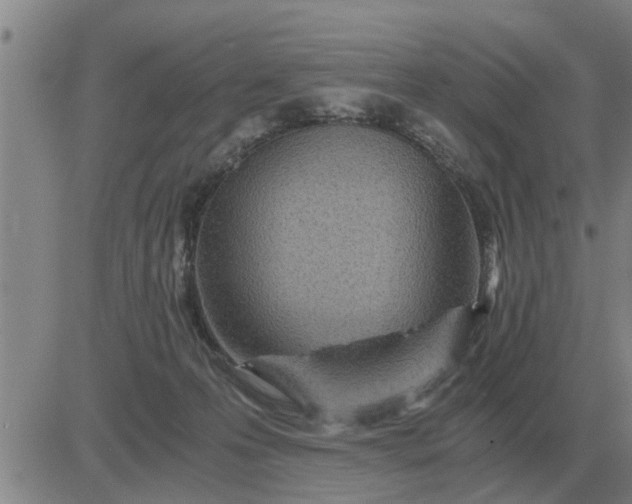 X0000084030223200703022131