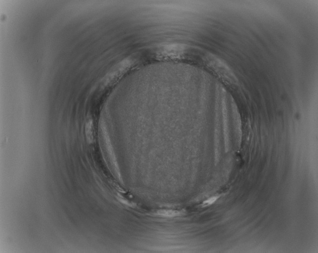 X0000084030224200703022131