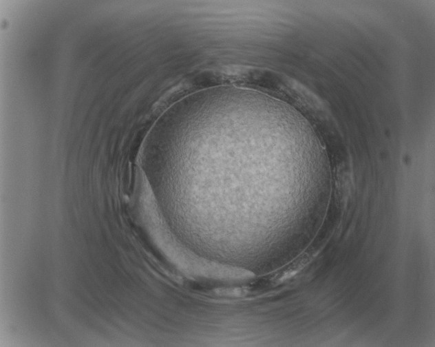 X0000084030225200703022131