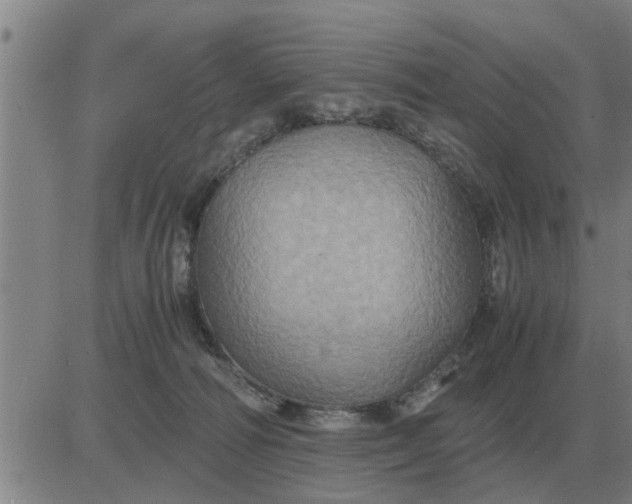 X0000084030226200703022131