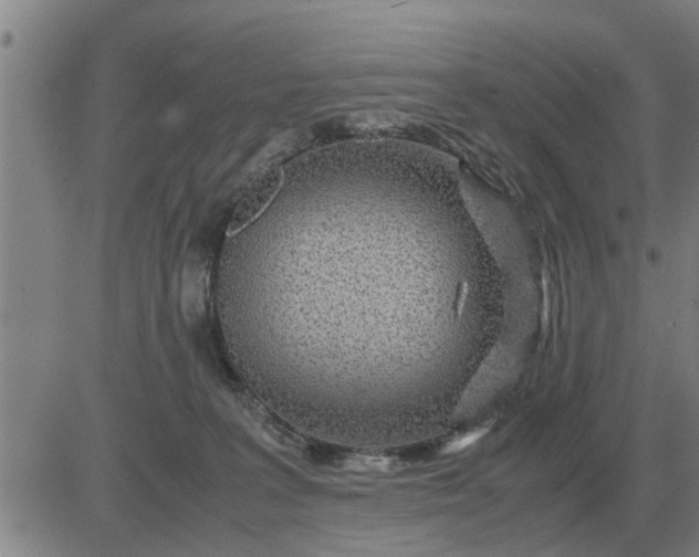 X0000084030227200703022131