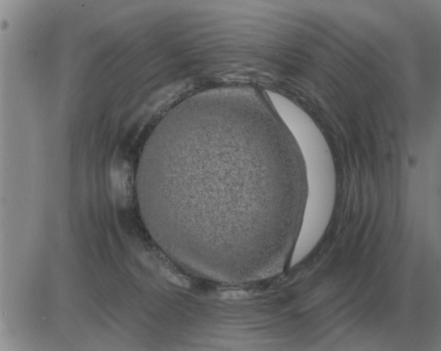 X0000084030228200703022131