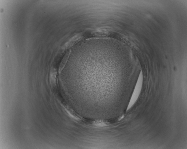 X0000084030231200703022131