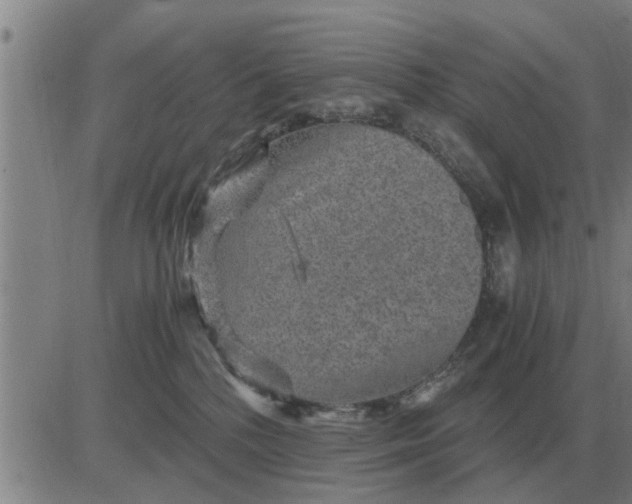 X0000084030232200703022131