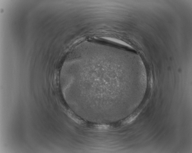 X0000084030233200703022131