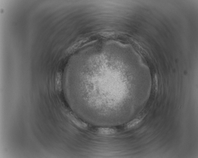 X0000084030234200703022131