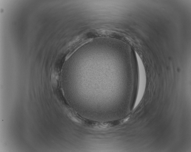 X0000084030235200703022131