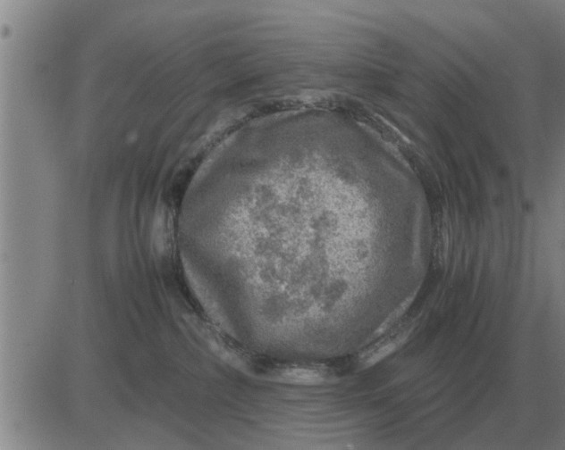 X0000084030236200703022131