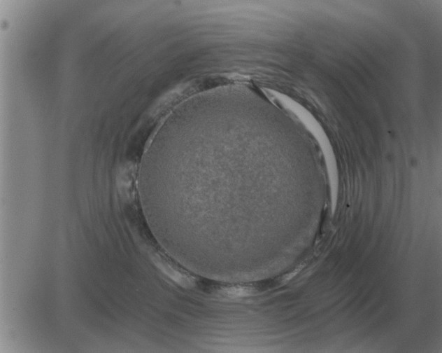 X0000084030237200703022131