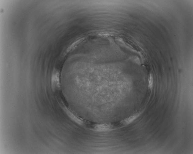 X0000084030238200703022131