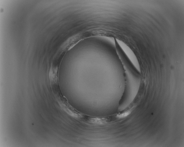 X0000084030239200703022131