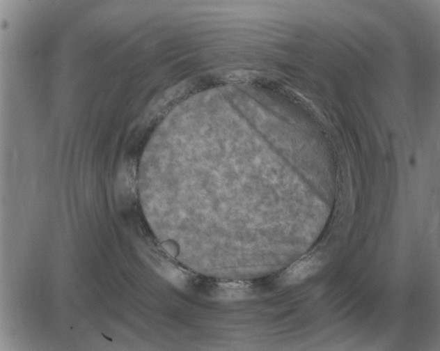 X0000084030240200703022130