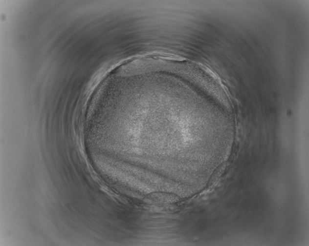 X0000084030241200703022130