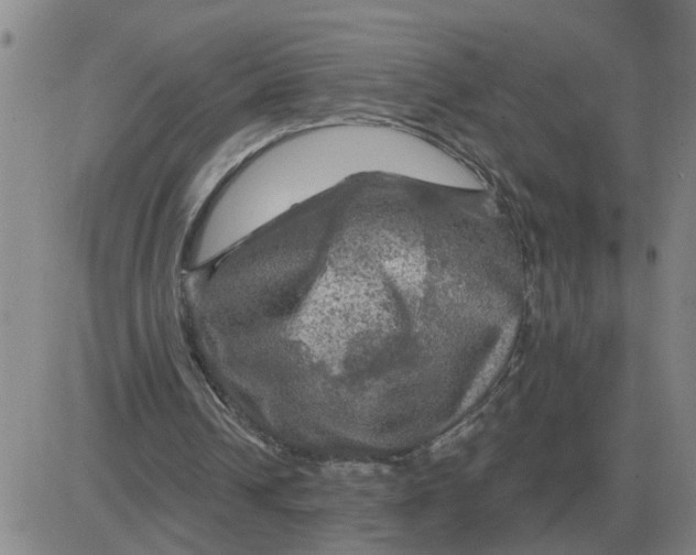 X0000084030242200703022130