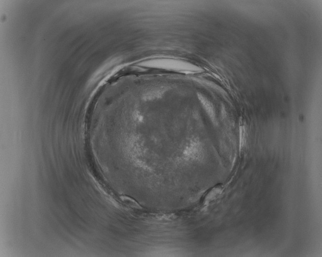 X0000084030243200703022130