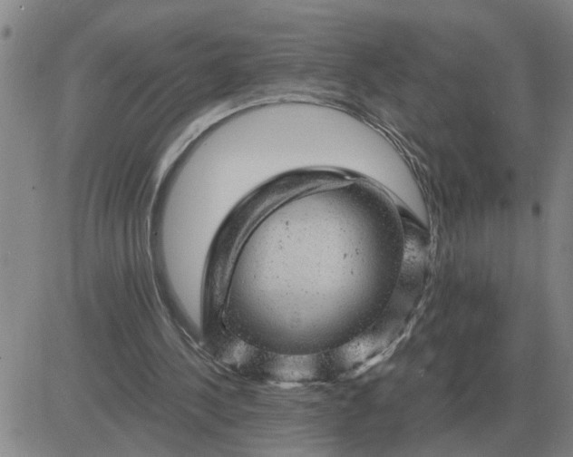 X0000084030244200703022130