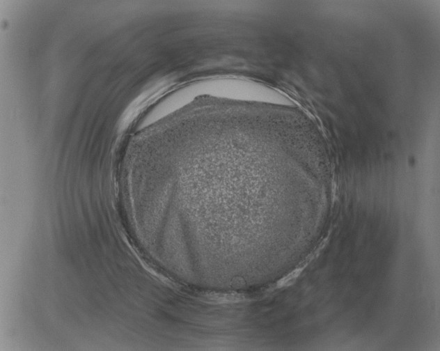 X0000084030245200703022130