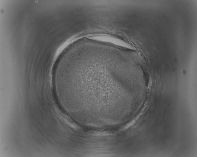 X0000084030246200703022130