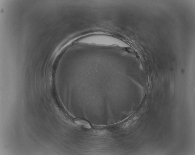 X0000084030247200703022130