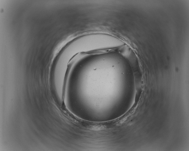 X0000084030248200703022130