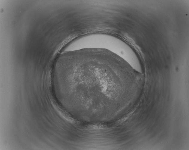 X0000084030250200703022130